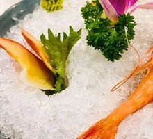 Sashimi