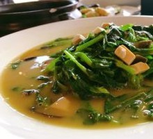 Pea Shoots