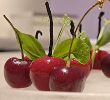 Hawthorn Liver