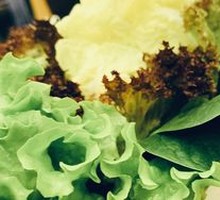 Vegetable Platter
