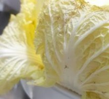 Baby bok choy