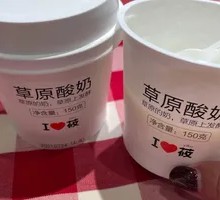 Grassland Yogurt