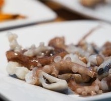 Live Octopus