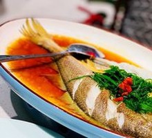 East China Sea Yellow Croaker