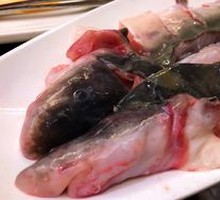Little Dragon Fish