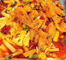 Fish and Shrimp Showdown