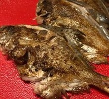 Spanish Mackerel or Bream