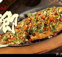 Signature Iron Plate Crucian Carp