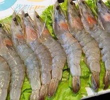 South American Shrimp