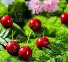 Cherry Ice Cream Foie Gras