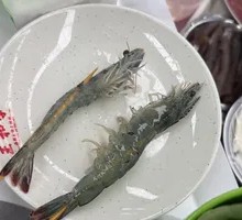Sand Shrimp