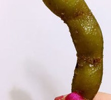 Signature Edamame