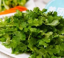 Cilantro