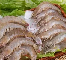 Prawn