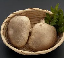 Shiitake Mushroom