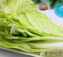 Napa cabbage