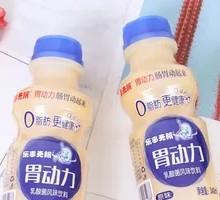Gastric Power Lactic Acid Bacteria Drink
