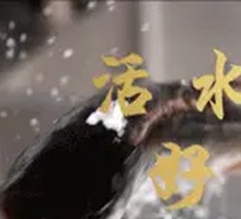 Stewed Head Fish in Earthen Pot