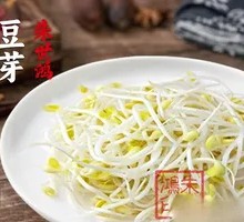 Organic Mung Bean Sprouts