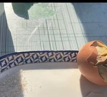 Wang Egg