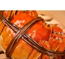 Gucheng Lake Female Crab