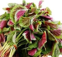 Amaranth greens