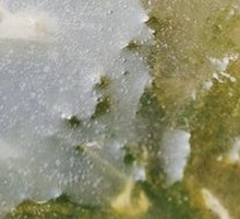 Seaweed and Egg Soup