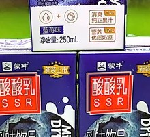 Mengniu Sour Milk Blueberry Flavor