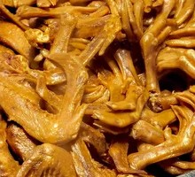 Duck Wing Pieces