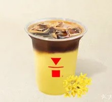 Osmanthus Double Grapefruit Iced Coffee