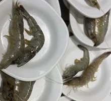 Fresh Shrimp