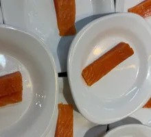 Salmon