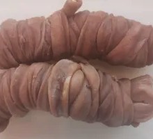 Liver Intestine Pork Shank