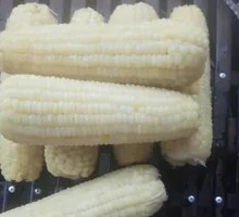 Corn on the Cob