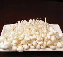 Enoki Mushroom