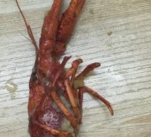 Soul-Calling Lobster