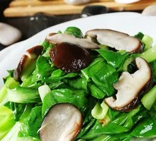 Bamboo Shoots with Greens