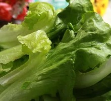 Lettuce