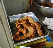 Intestine
