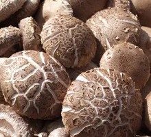 Dried Mushroom and Pork Rib Rice