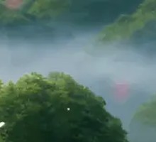 Hand-grabbed Lamb Ribs