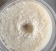 Handmade Rice Wine