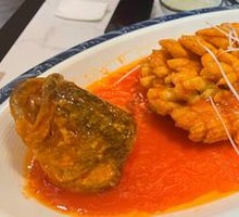Mountain Elder Tomato Sauce Sea Bass