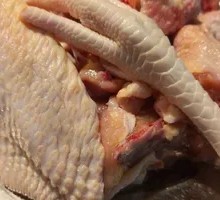 Free-range Chicken