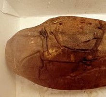 Warm Hearted Honey Baked Sweet Potato