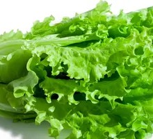 Lettuce