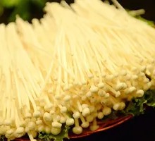 Enoki Mushroom