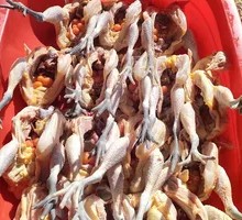 Freshly Slaughtered Local Chicken