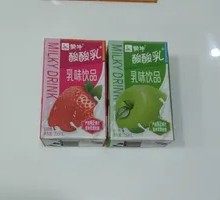 Mengniu Sour Milk