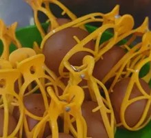 Egg